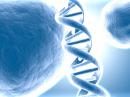 ���� DNA