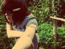 ���� owl