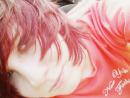 ���� owl