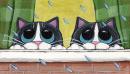 ���� kittens:3