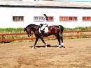 ���� ��� ��������