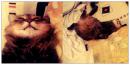 ���� Anton- sleepy cat <3 xoxo
