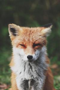 ������