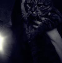 ������