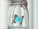 ���� butterfly