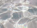 ���� ��� ��������