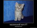 ���� ��� ��������