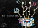 ���� ��� ��������