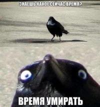 ������