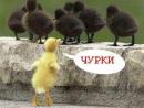 ���� ��� ��������