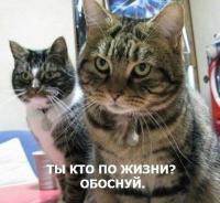 ������