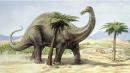 ���� �