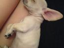 ���� I can't handle it ❤❤❤