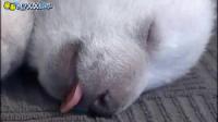 ������