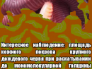 ���� ������
