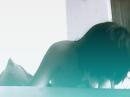 ���� ��� ��������