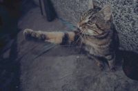 ������