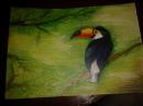 ���� ��� ��������