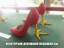 ���� ��� ��������