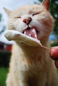 ������