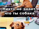 ���� ��� ��������
