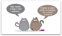 ������