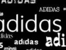 ���� ��� ��������