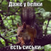 ������