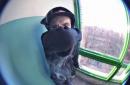 ���� ��� ��������
