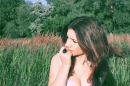 ���� 
