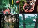 ���� Green theme