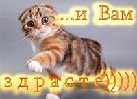 ������