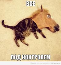 ������