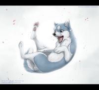 ������