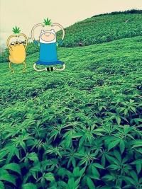 ������