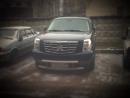 ���� ������ ���