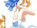 ���� Fox