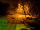 ���� night