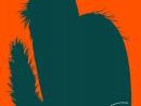 ���� ������ ����� ����� ������� � ���� ����. 