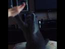 ���� ��� ����