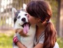���� Love dogs.com
