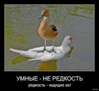 ������