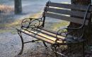 ���� ��� ��������