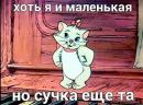 ���� ��� ��������