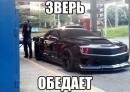 ���� ��� ��������