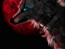 ���� Red 