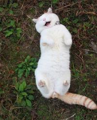 ������