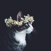 ������