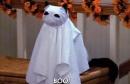 ���� - ��! 👻 ���� � �������, ���� ���� ������. #Halloween 