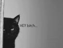 ���� ��� ��������